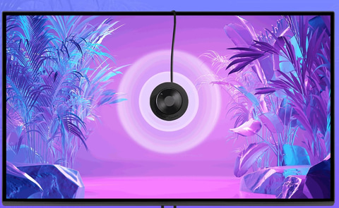 キャリブレーションもPantone色提案もできるホイール付き。ViewSonic