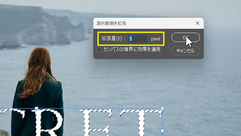 選択範囲を拡張の画面が出てくるので、選択範囲が少し広がる程度に拡張量を調整してOKを押します。今回の画像では拡張量を5pixelにしています