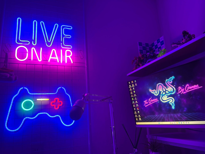 照明2: Homagical「LED ネオンライトゲーミングライト (16”x 11”)」。パーテーションに取り付けたネオンライトは、自撮りする時や配信のワイプ映えするので、買ってよかったなあと思います