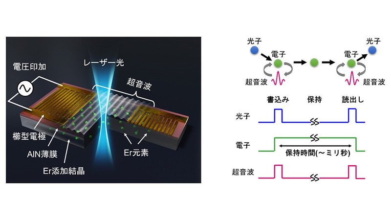 作製した超音波素子の概略図(左)と将来的な量子光メモリ素子としての利用イメージ(右)