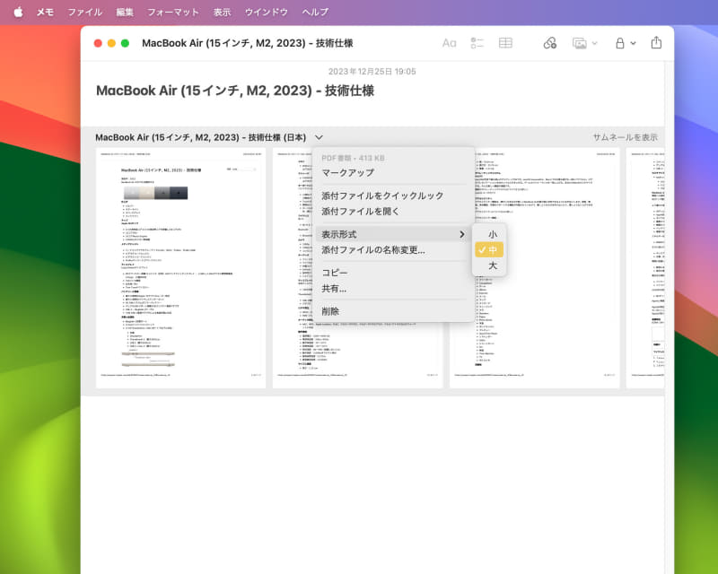 PDFの表示サイズは[大][中][小]の3種類から選べます。挿入した直後は[大]表示となります