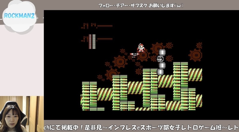 これで今後のだるまは余裕だ