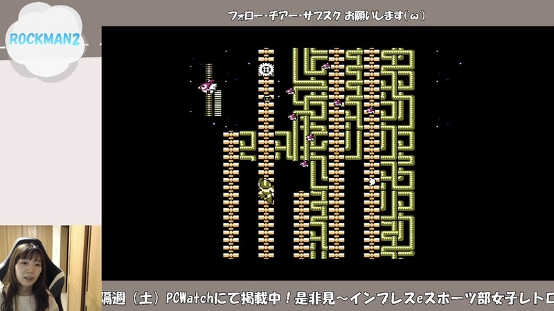 この鳥ホンマ……(-.-)