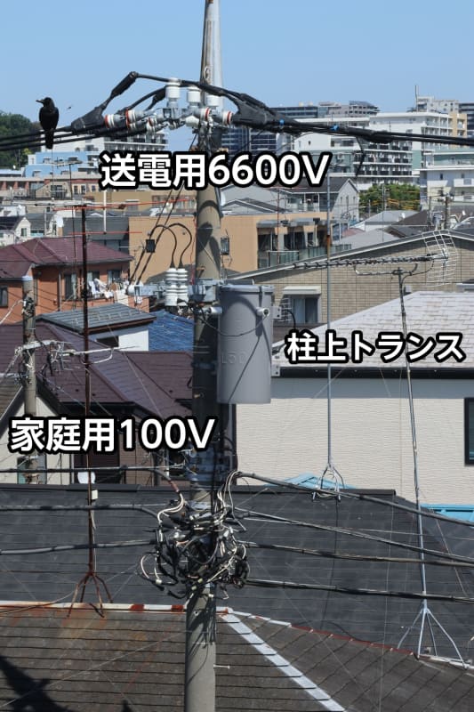 電柱の送電網は交流6,600V。これをトランスで交流100V(200V)まで下げて宅内に引き込んでいる。カラスが止まっているのが6,600V、その下が電圧を落とすグレーのトランス、その下の縦3本の線が100V。各家庭に分岐しているので、ここは電線がグチャグチャ