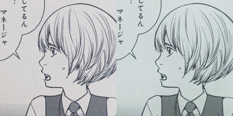 左が本製品、右がモノクロモデル。解像度は同じ300ppiのはずだが本製品は全体にざらつきが見られる