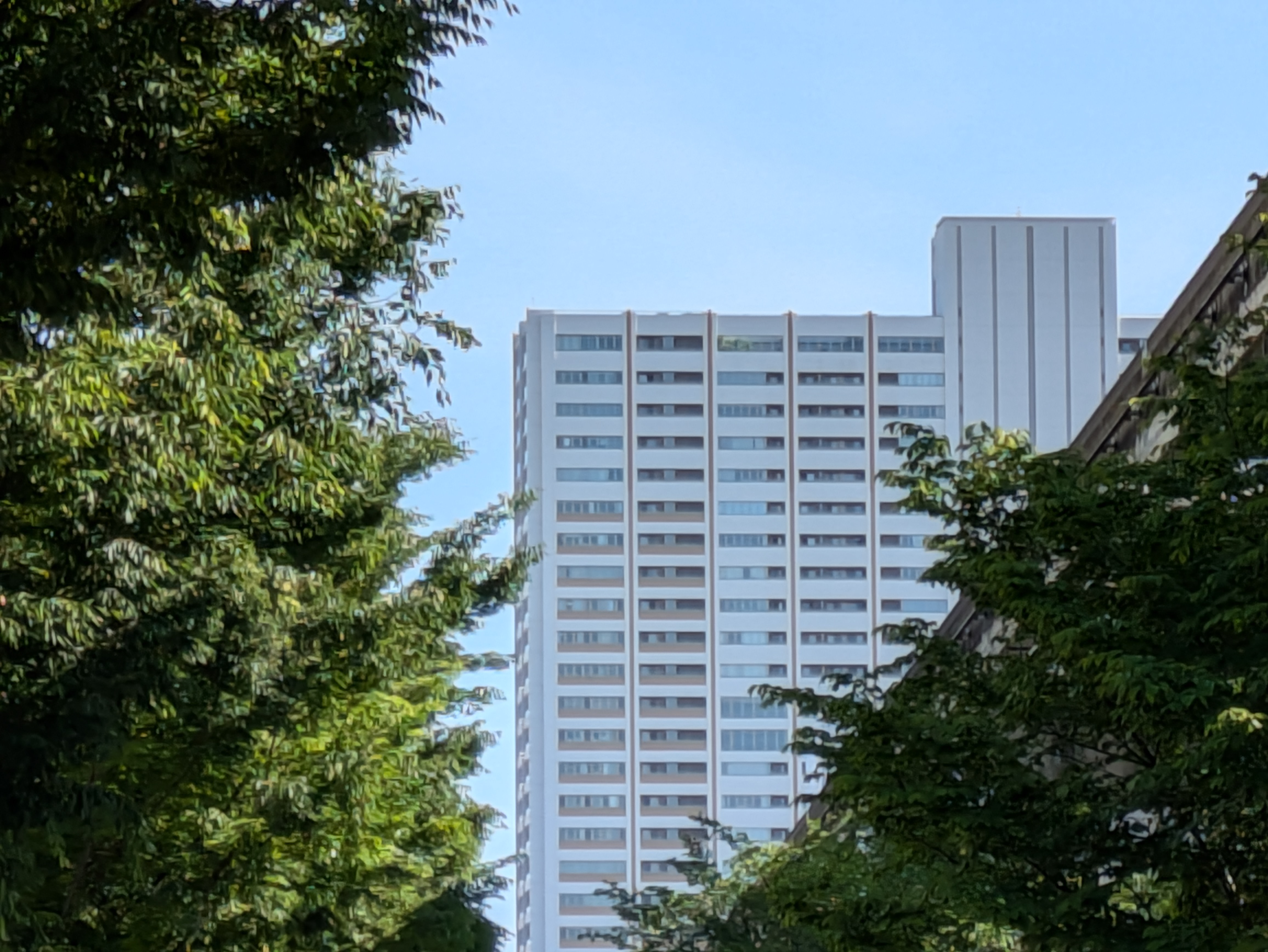 広角レンズ、8倍デジタルズームで撮影