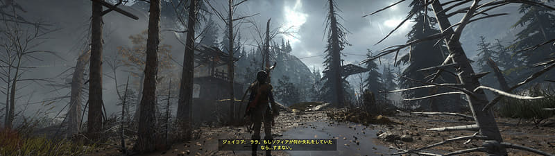 気温や湿気を感じることができそうなほどに、表現力が向上した「シャドウオブザトゥームレイダー」