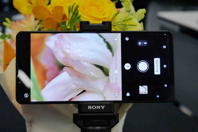 テレマクロ撮影時はマニュアルフォーカスとなる