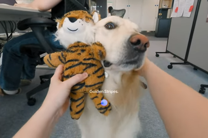 開発中のスマートグラスを通じてProject AstraのAIアシスタントを利用する様子