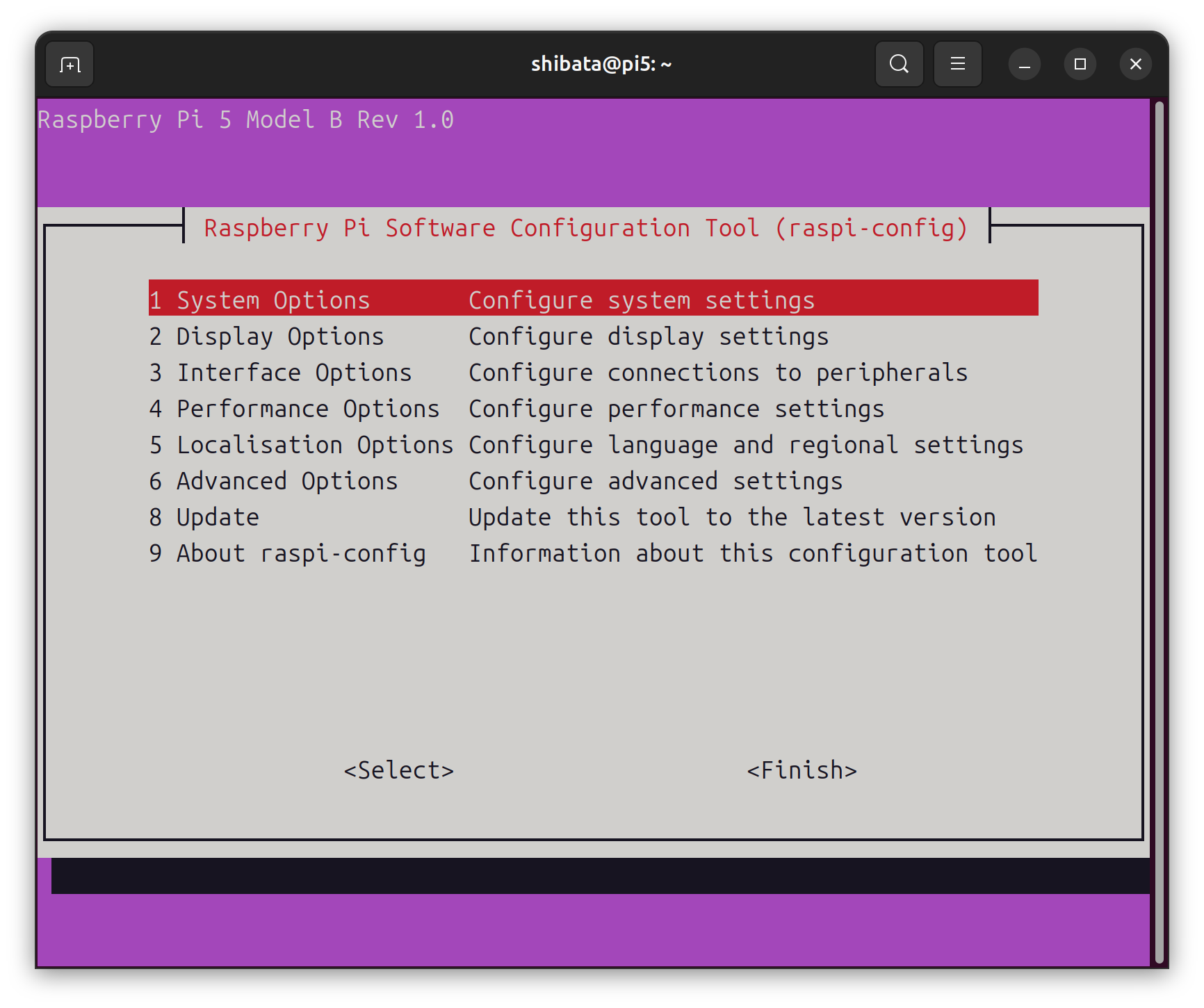 raspi-configはCLIからも操作できる