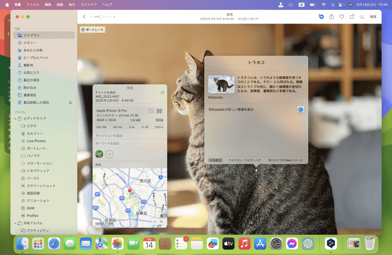吹き出しが表示され、オブジェクトについての詳しい情報が表示されます。テキストを選択すれば、コピー&ペーストできます