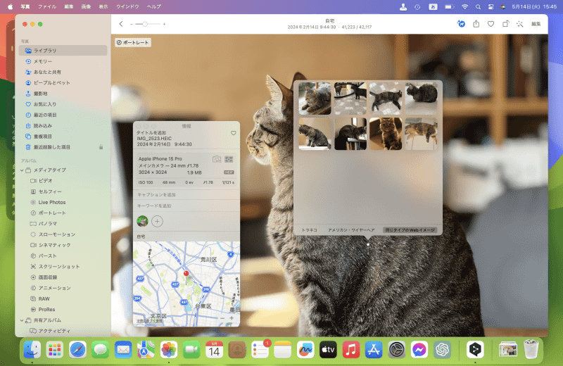 [同じタイプのWebイメージ]には似た画像が表示されます。クリックすると、その画像が掲載されているWebサイトにアクセスできます