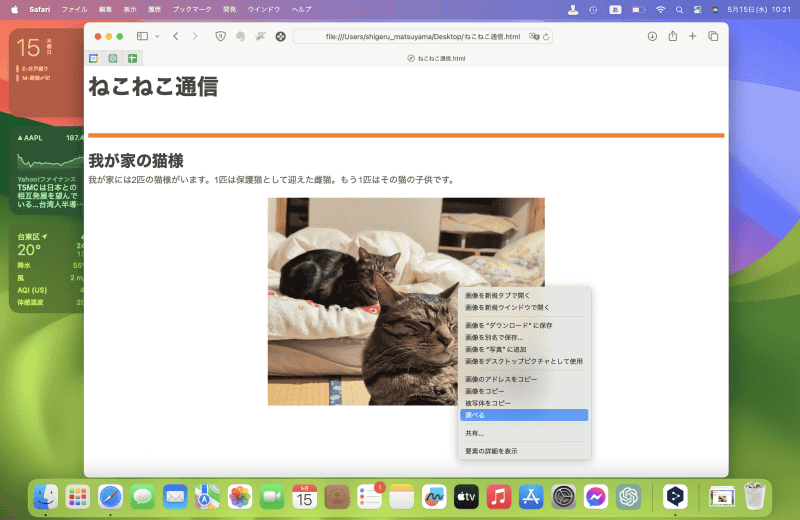 Safariでは画像を副ボタンクリック([Control]キー+クリック、または右クリック)して表示されるコンテキストメニューから[調べる]を選びます