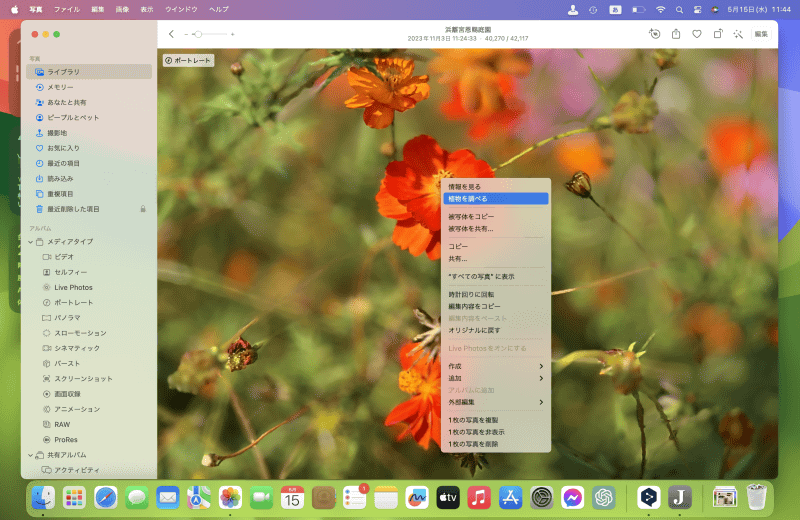 「写真」アプリや「プレビュー」でもコンテキストメニューから[〜を調べる]をクリックすると、より素早く実行できます