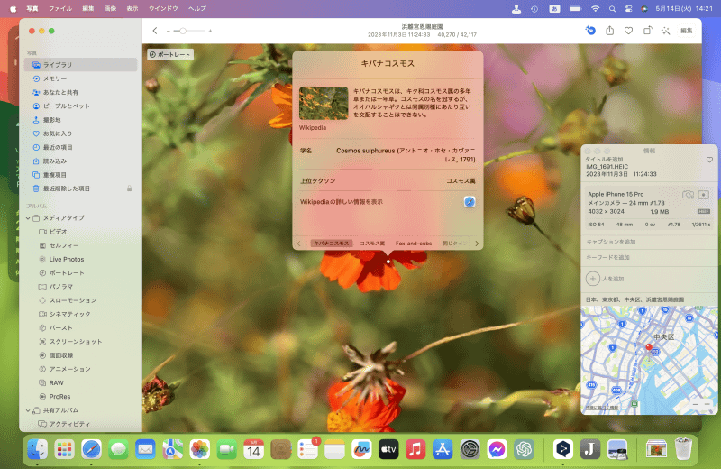 花や銅像など実にさまざまなものを自動判別します。どんなものが対象となるのか、いろいろな写真を試してみましょう