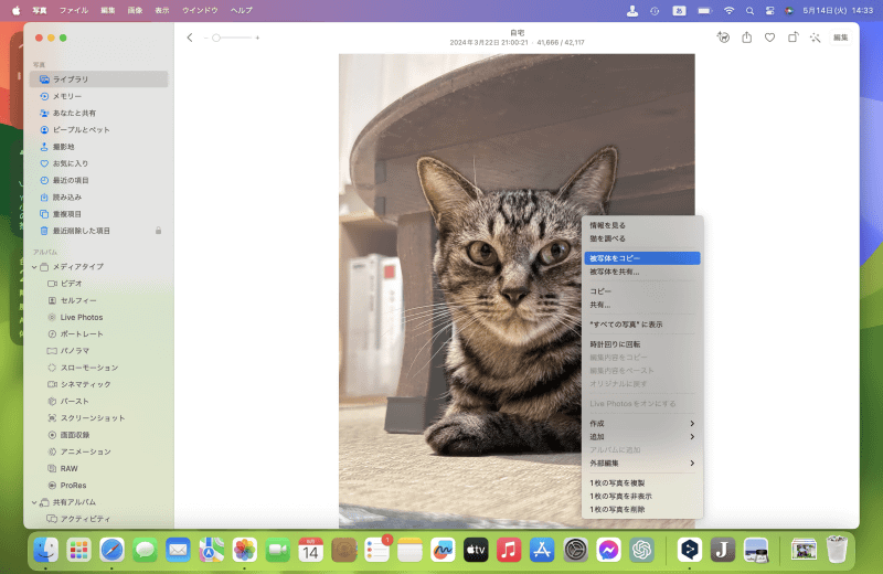 オブジェクトを副ボタンクリックして、コンテキストメニューから[被写体をコピー]を選びます。「メッセージ」アプリなどにペーストして利用できます