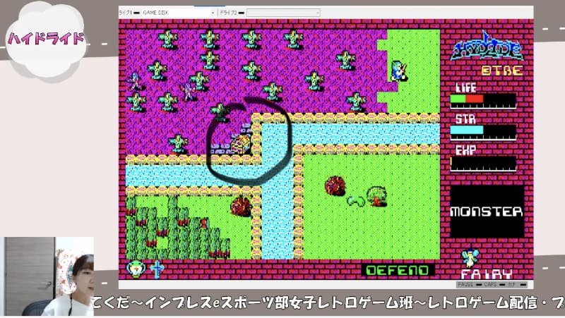 このエリアはいるだけでHPが減るので厄介