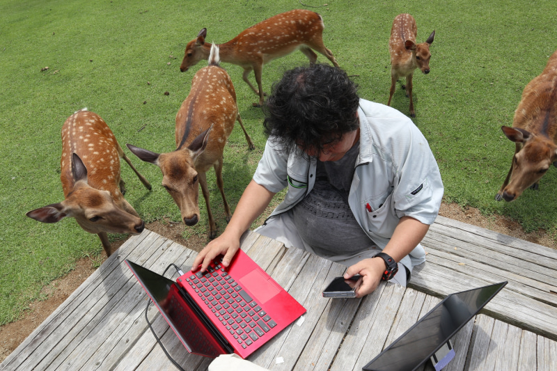 春日大社横の奈良公園での一コマ