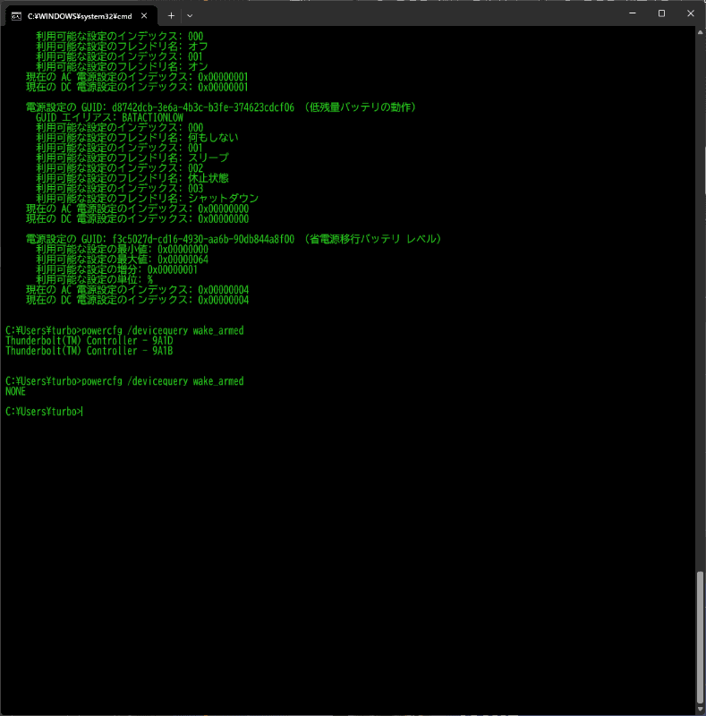 外付けキーボードを外した状態でチェックしてみたところ、2種類のThunderbolt Controllerがヒットしたので、チェックを外してから再度同じコマンドを入れたところ、結果が見事「NONE」になった