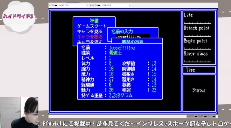 無難な戦士とかのほうがよかったかしら……