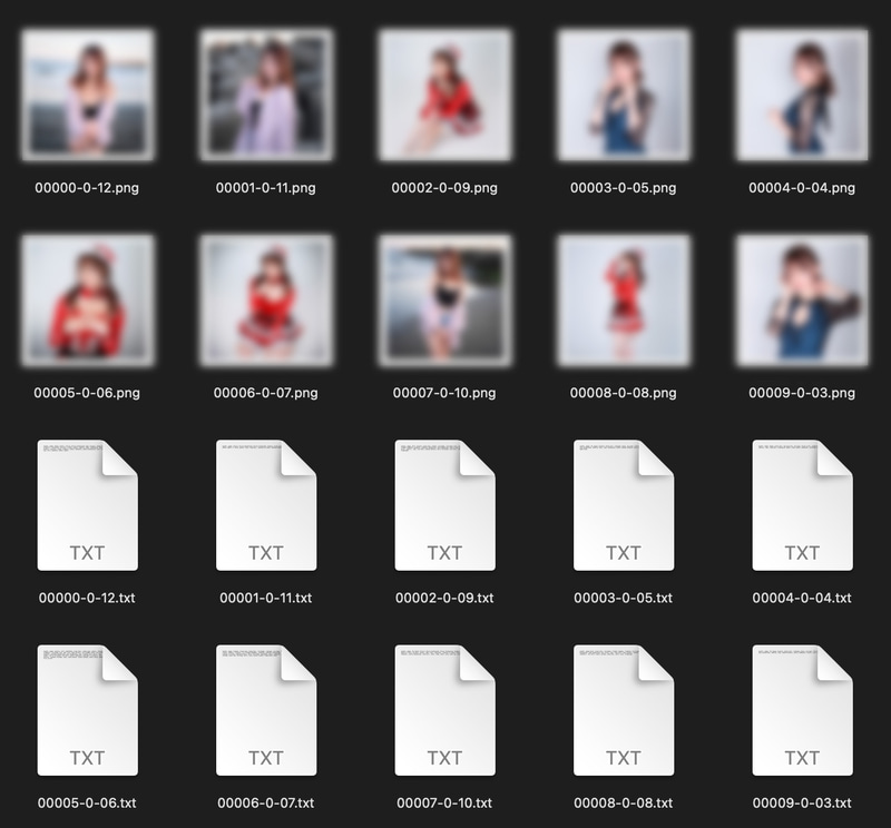 sd-scriptsで使用したdataset