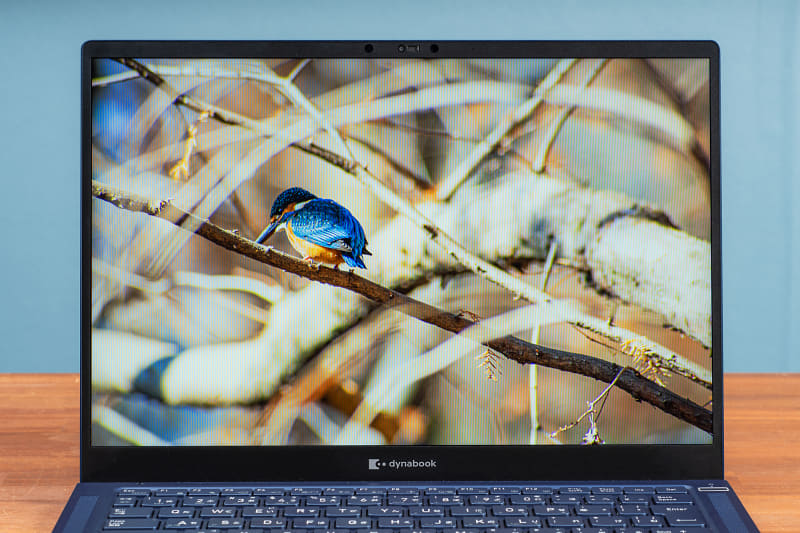 1,920×1,200ドット、sRGBカバー率100%の広色域対応の14型液晶は、写真も鮮やかに表示できる