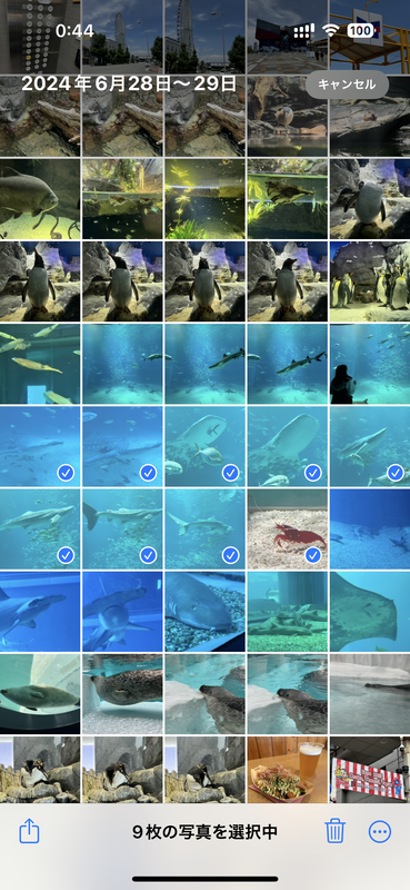 逃がしたい写真をタップ、レ点チェックを入れていく。入れ終わったら画面右下の「共有」ボタンをタップ