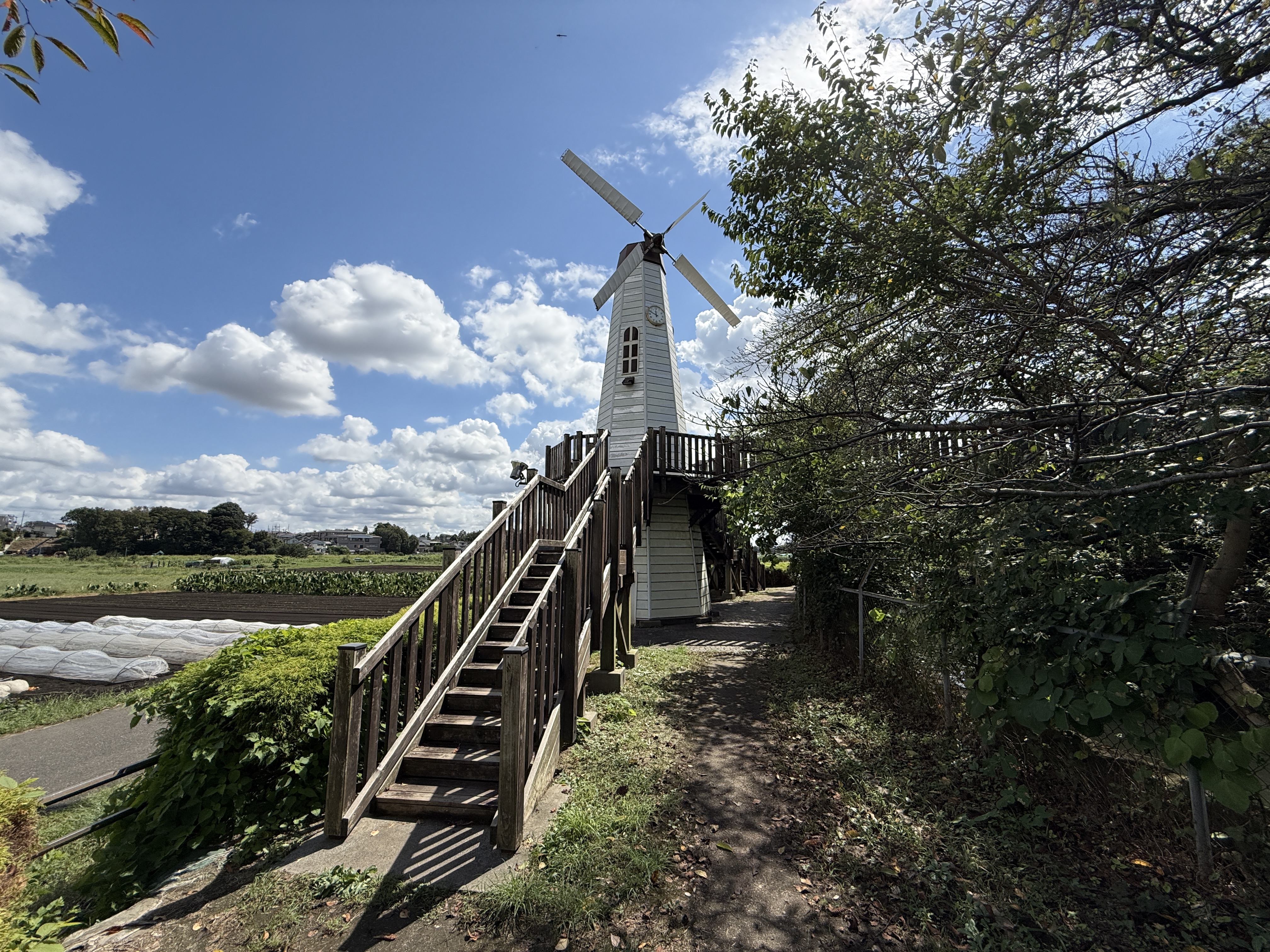 iPhone 16 Proで撮影(0.5倍)