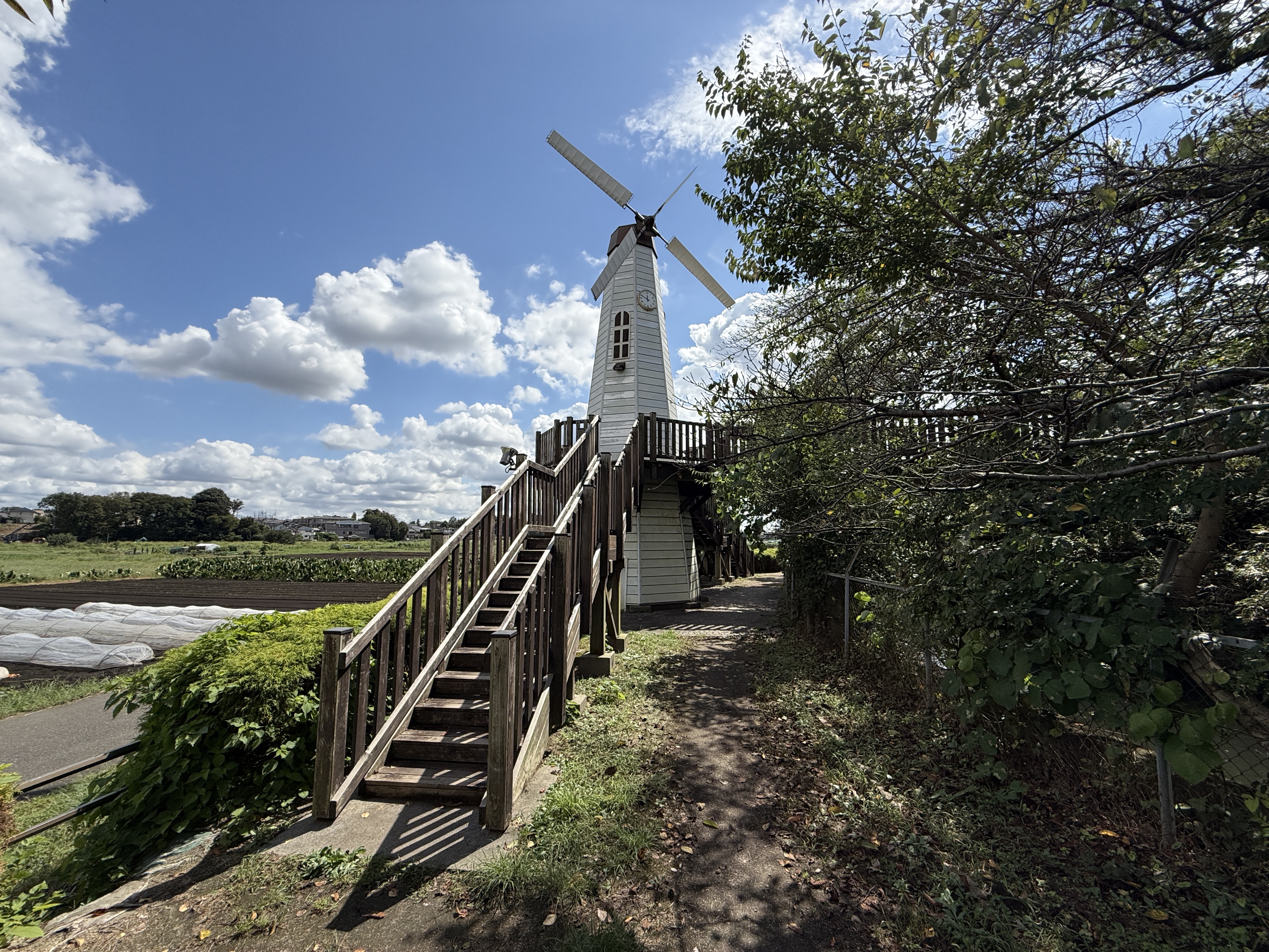 iPhone 16 Pro Maxで撮影(0.5倍)