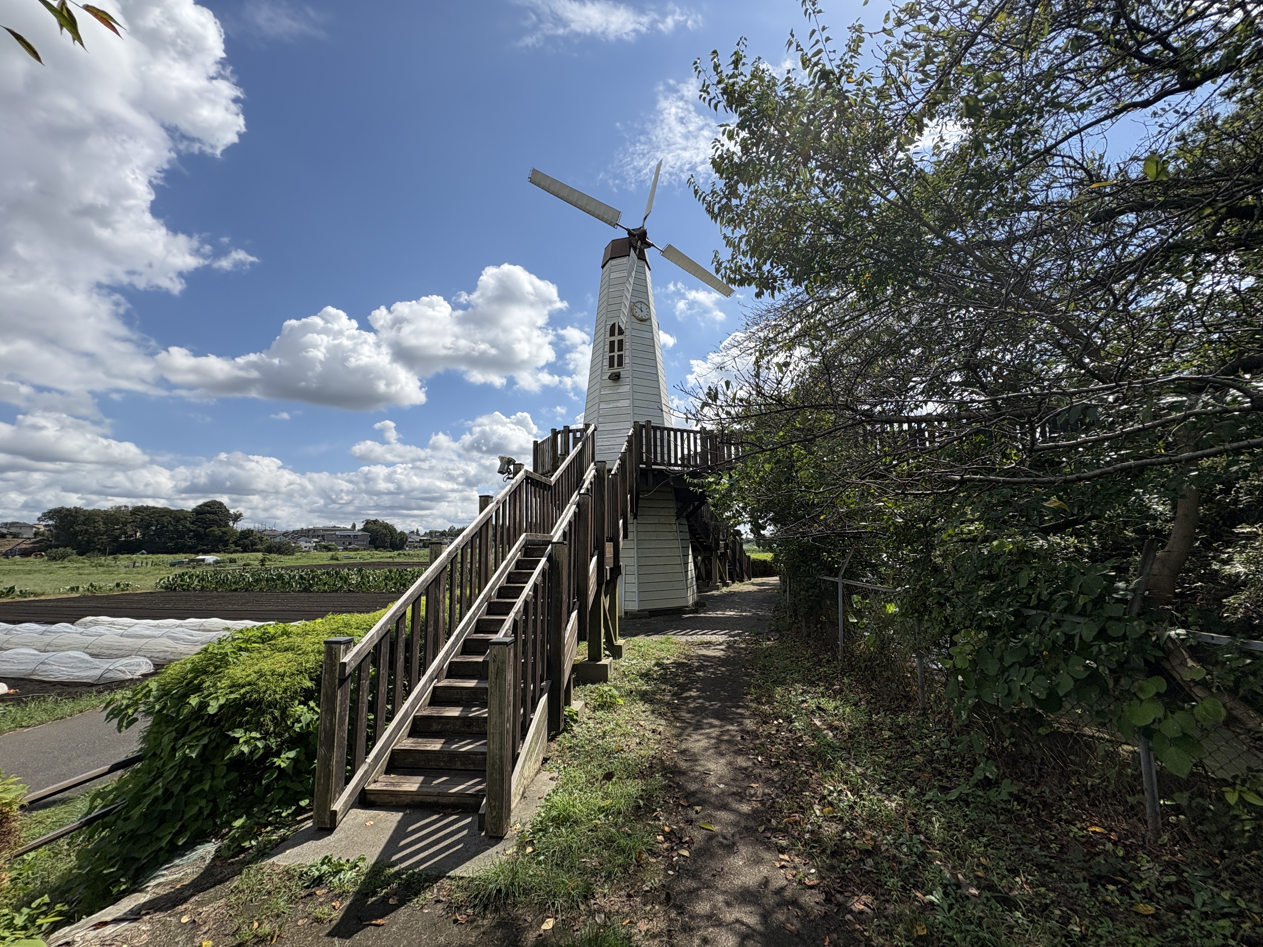 iPhone 16で撮影(0.5倍)