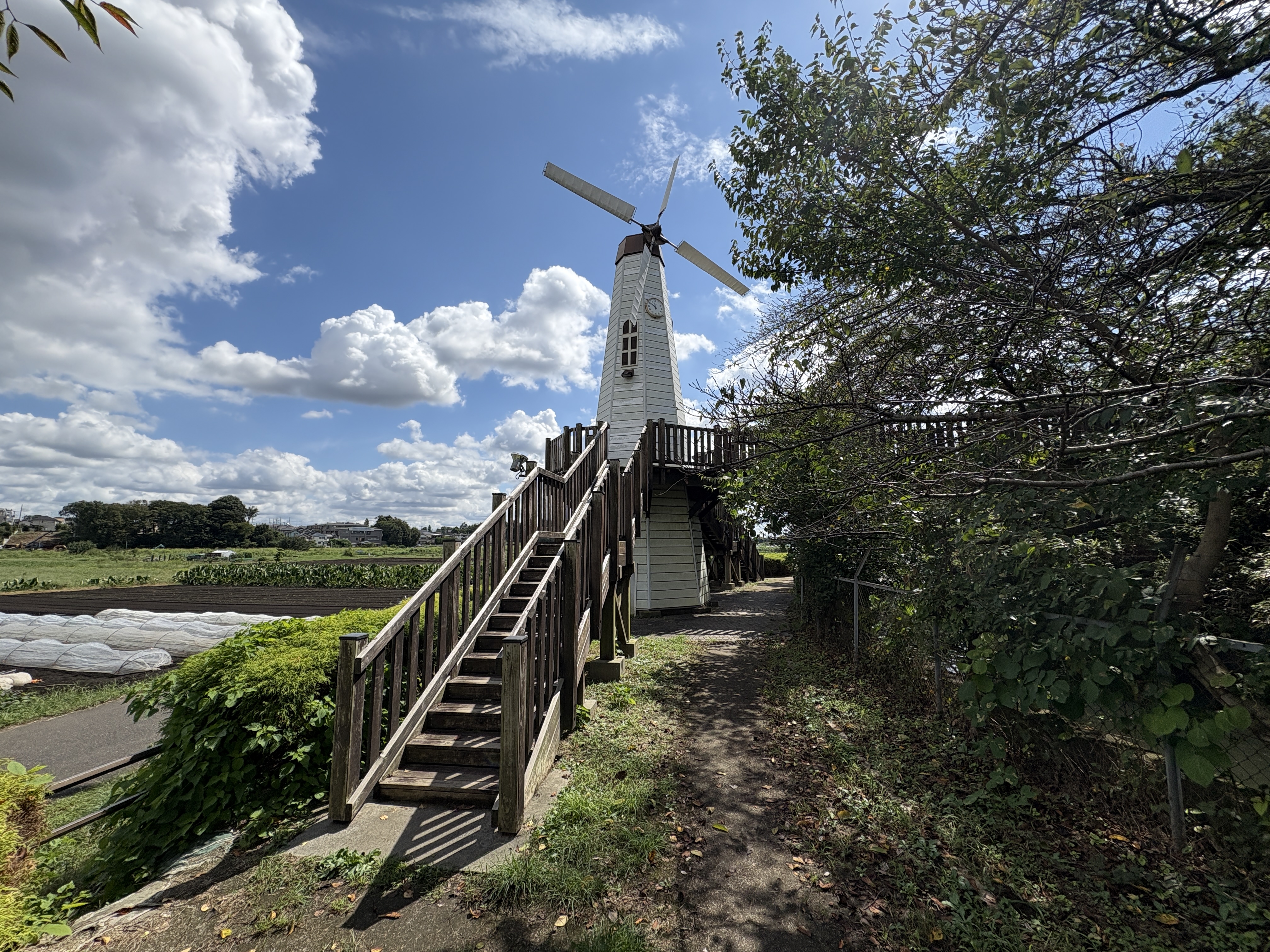 iPhone 16 Plusで撮影(0.5倍)