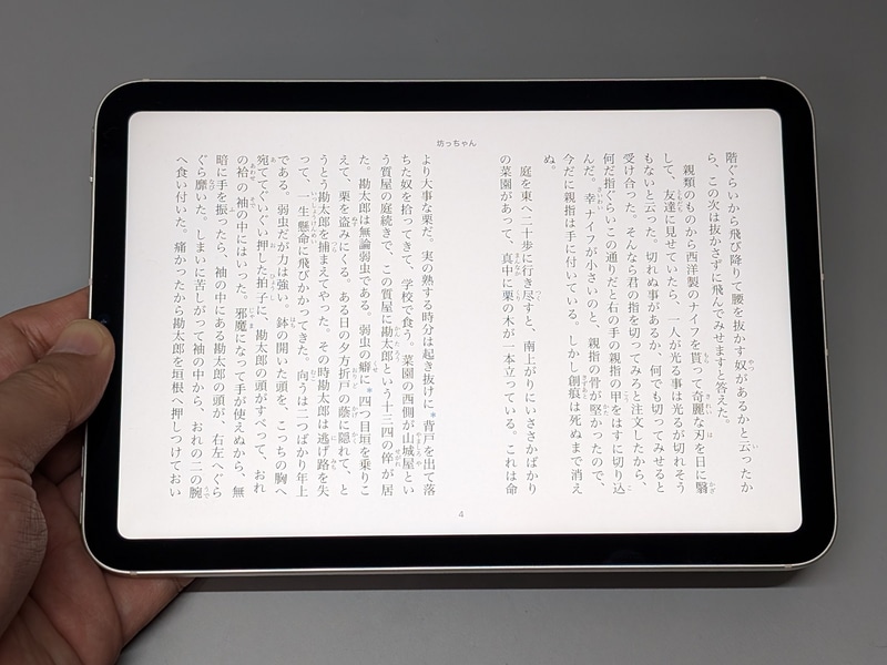 テキストの横向き表示はやや冗長に感じることもあるが、Apple Booksだと中央にノドが入るため紙の本に似た感覚で読むことができる