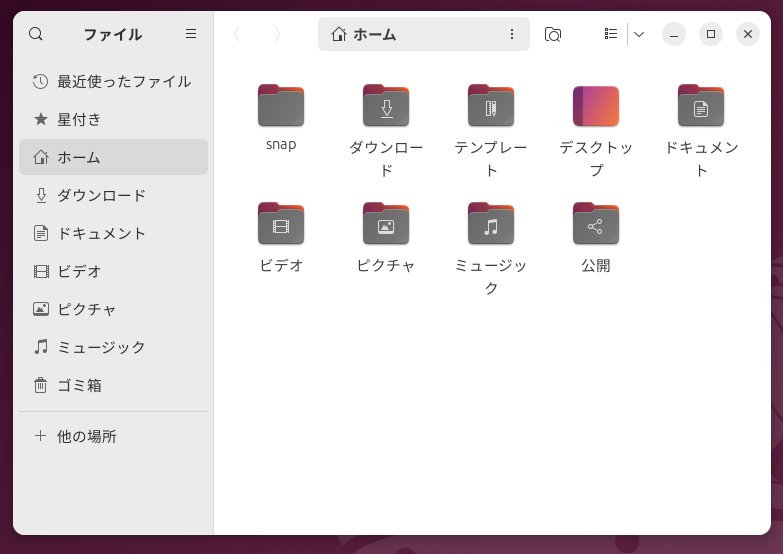 ホームディレクトリには最初からいくつかディレクトリが作られる。snapは少し特殊なディレクトリで最初のうちは直接触ることはないだろう