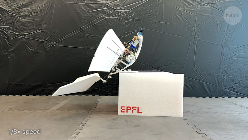 障害物に飛び乗ることもできる