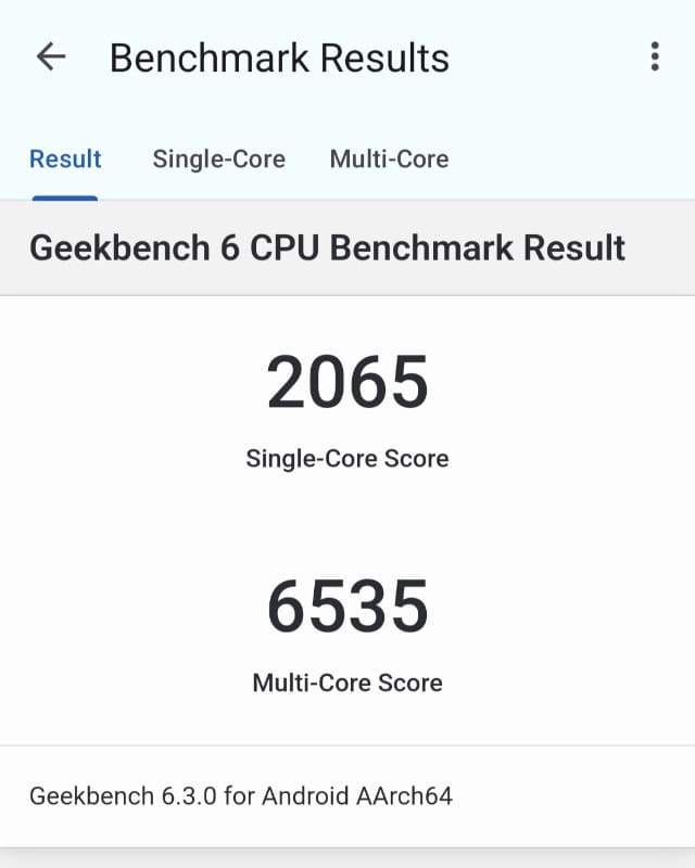 Geekbench 6.3.0のSingle-Core Scoreは2065、Multi-Core Scoreは6535