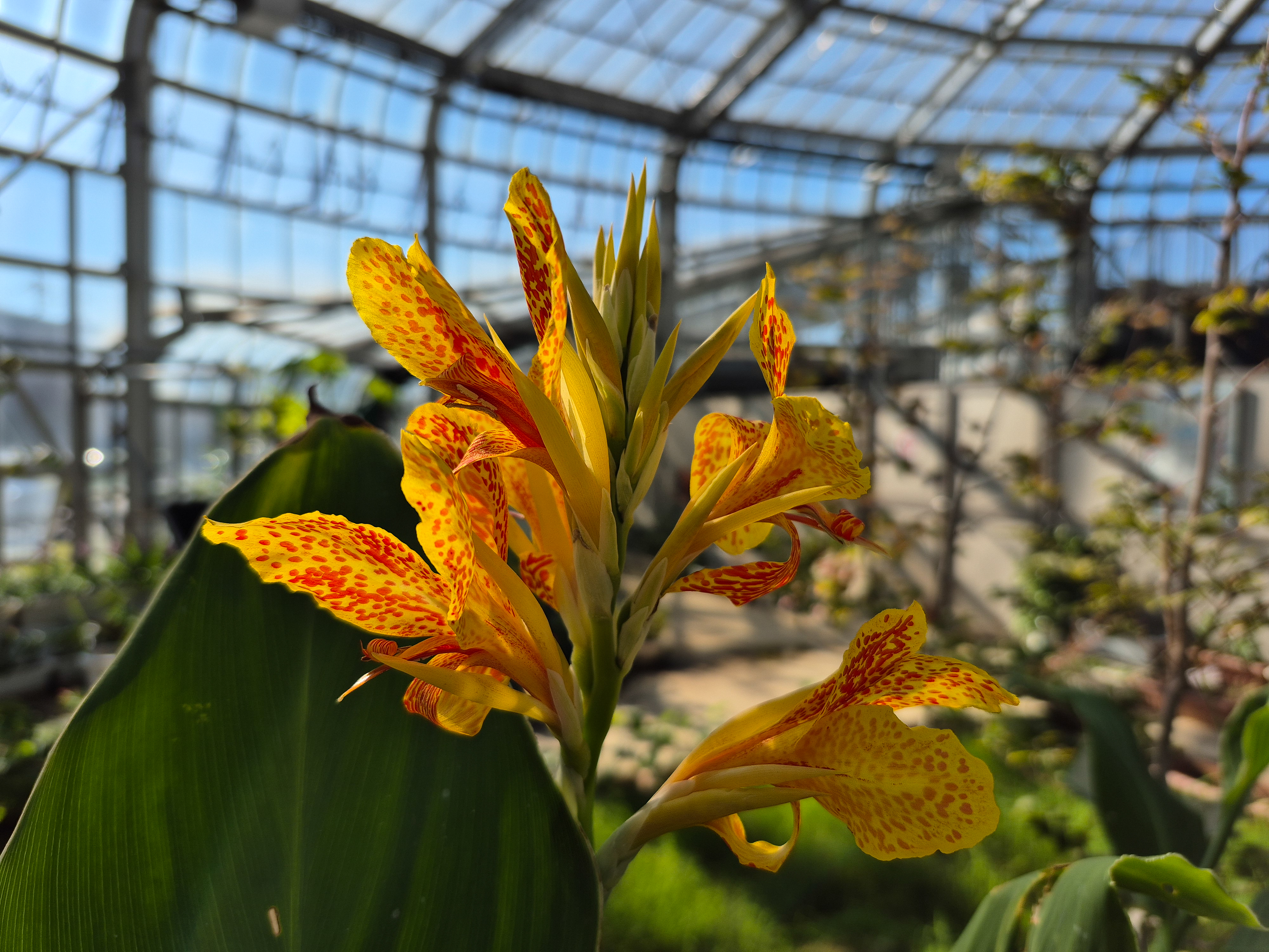 広角カメラで撮影