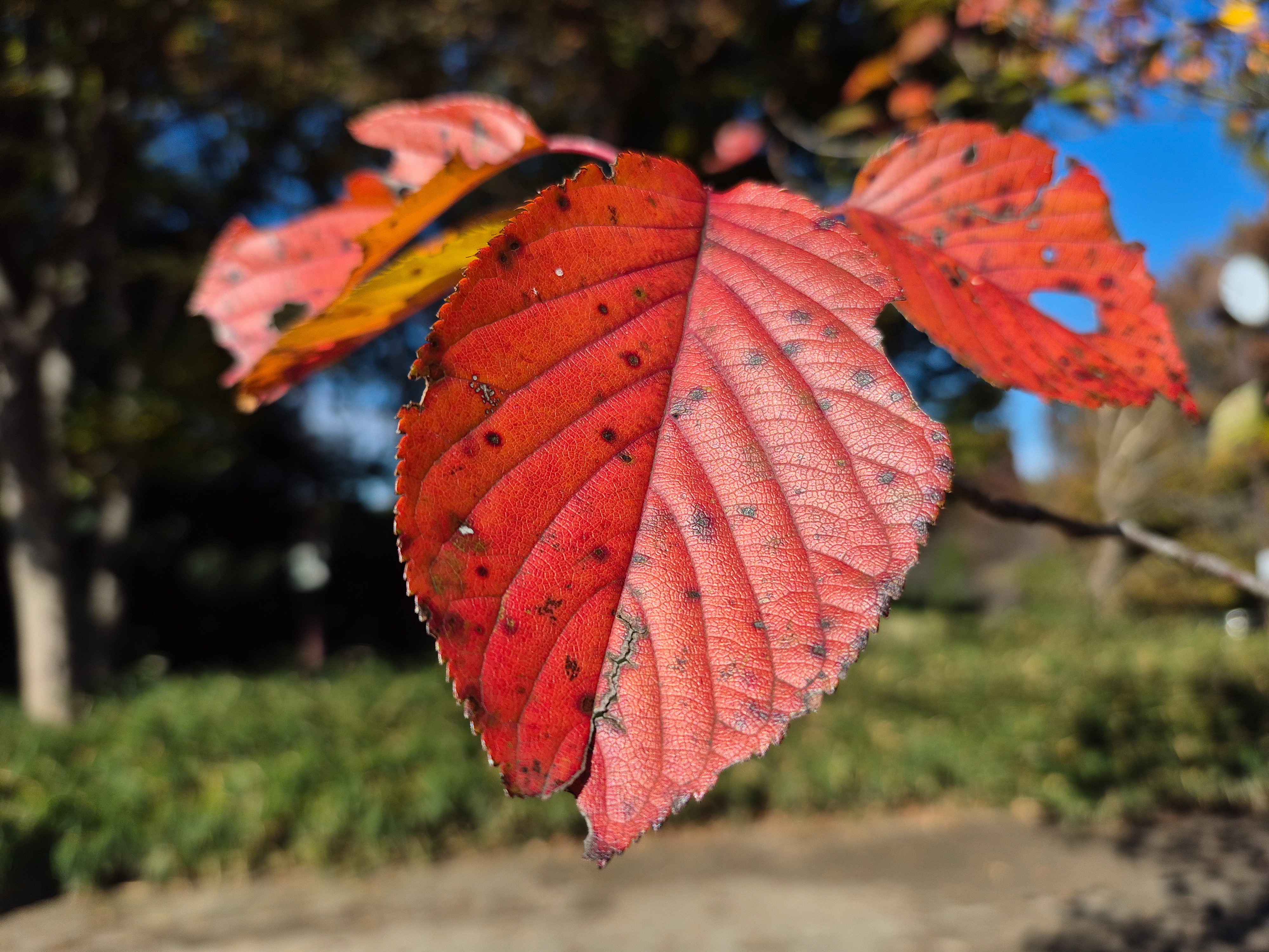 広角カメラで撮影