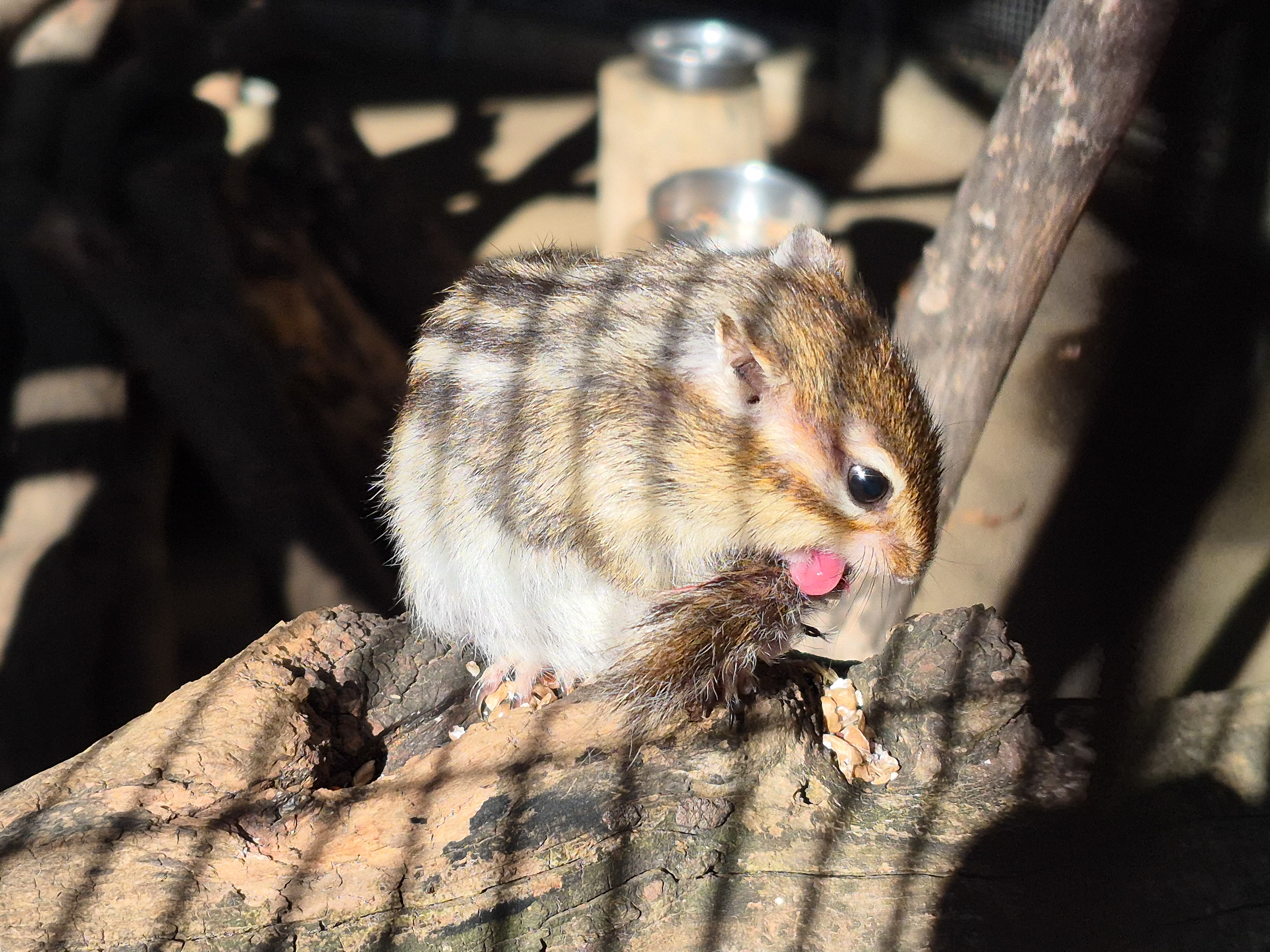 広角カメラで撮影