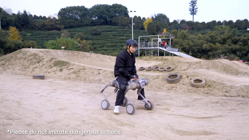 驚異的な運動性能の数々