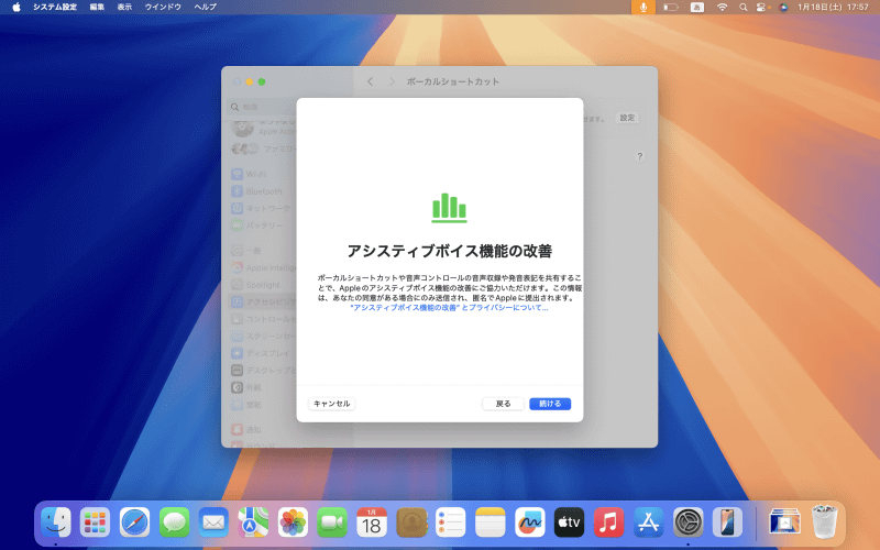 続いて「アシスティブボイス機能の改善」でも[続ける]をクリックします