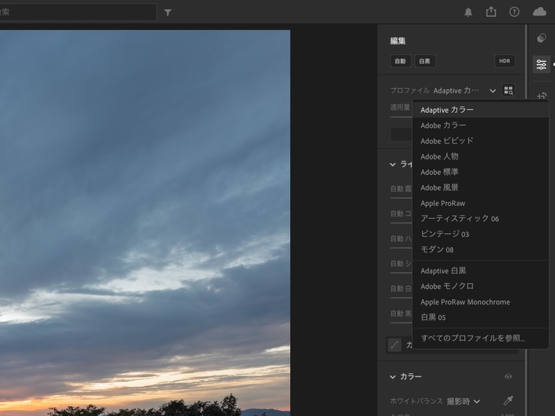 アダプティブプロファイル