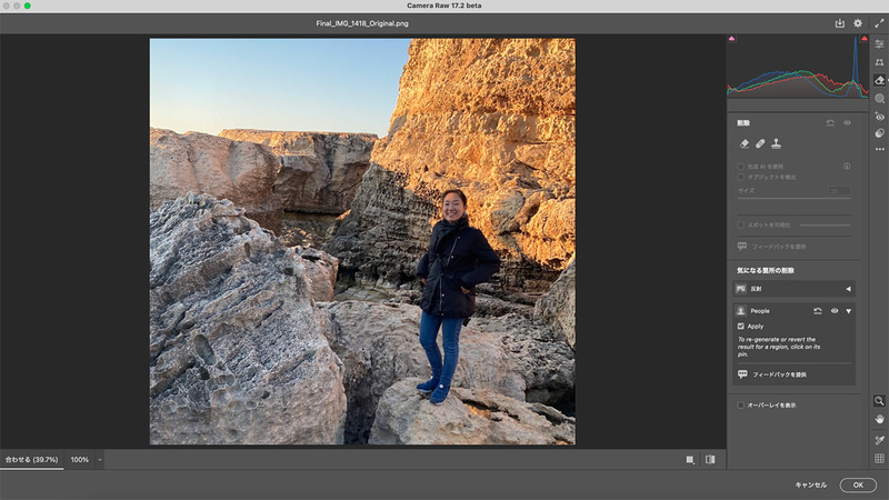 写り込んでしまった人物の除去機能。上が除去前、下が除去後