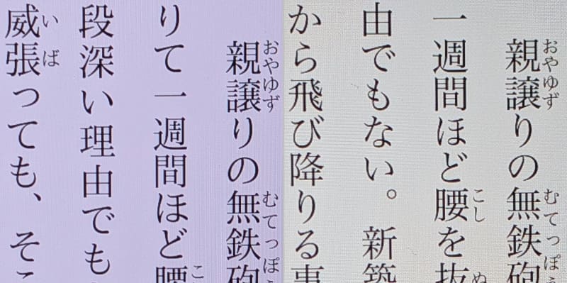 ディティールの比較。左が本製品、右がiPad mini。どちらも十分なクオリティだ