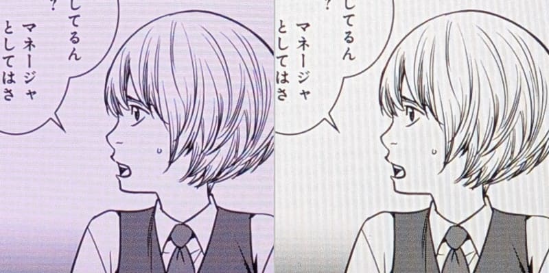 ディテールの比較。左が本製品、右がiPad mini。テキスト同様、こちらも十分なクオリティだ