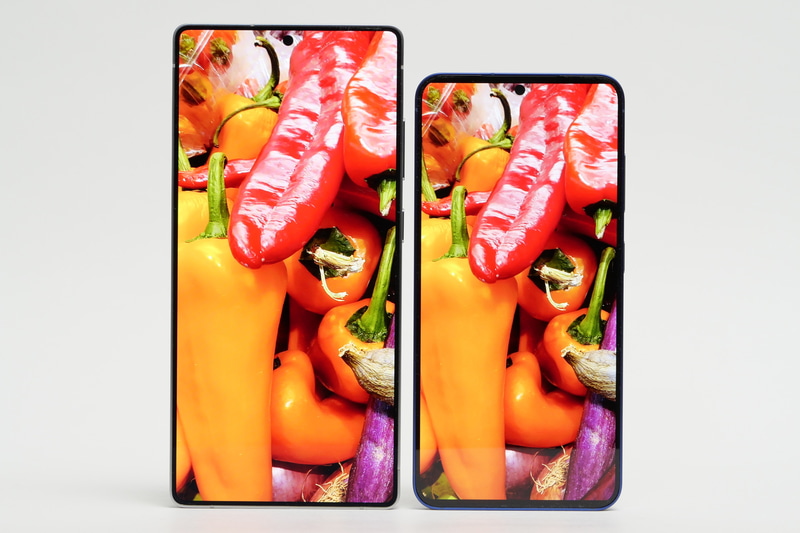 サイズや解像度の違いはあるが、どちらも有機ELらしい優れた発色性能を備えている