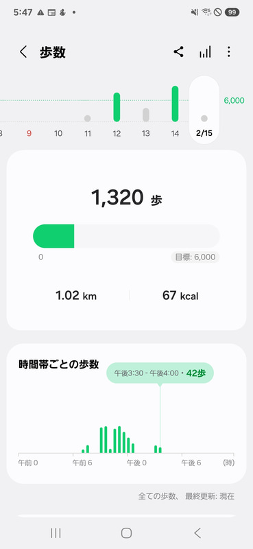 自宅内で過ごしたある日の歩行状況をGalaxy Ringで取得したデータ