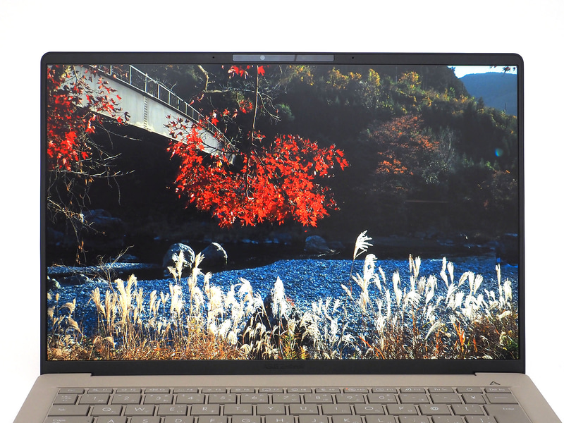 通常のLEDパネルと思われるが発色はよい。1,920×1,200ドット/60Hzの非光沢