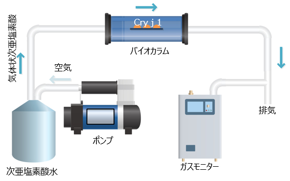 気体状次亜塩素酸暴露装置概要