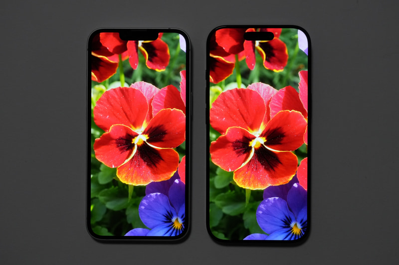「True Tone」と「明るさの自動調節」を無効にして、最大輝度で撮影。ノッチと「Dynamic Island」、そしてベゼル幅は異なるが、発色からはiPhone 16eとiPhone 16 Proの見分けはつかない