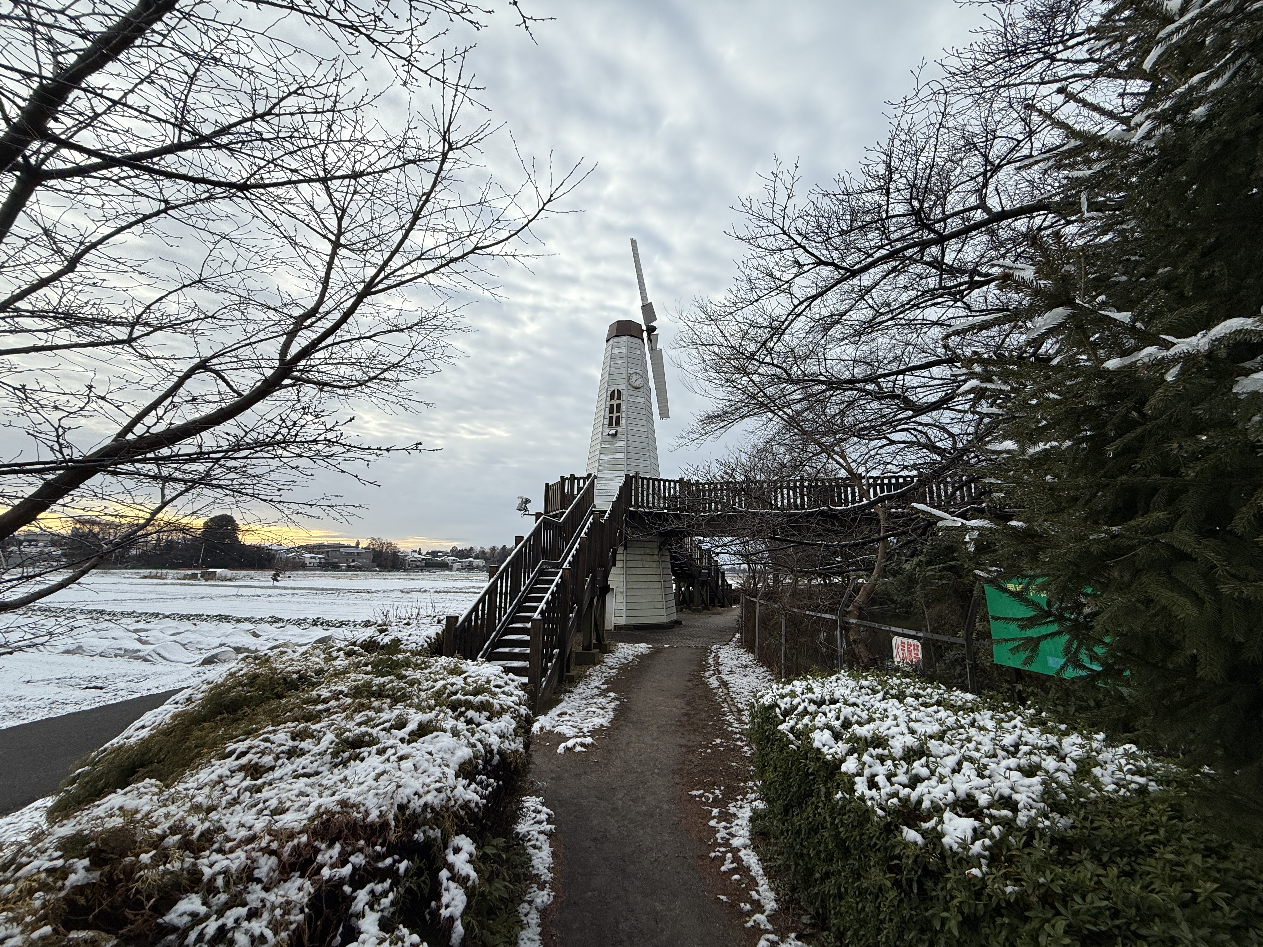 16 Proで撮影(0.5倍)